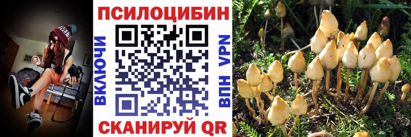 Галлюциногенные грибы мицелий  Сокол 