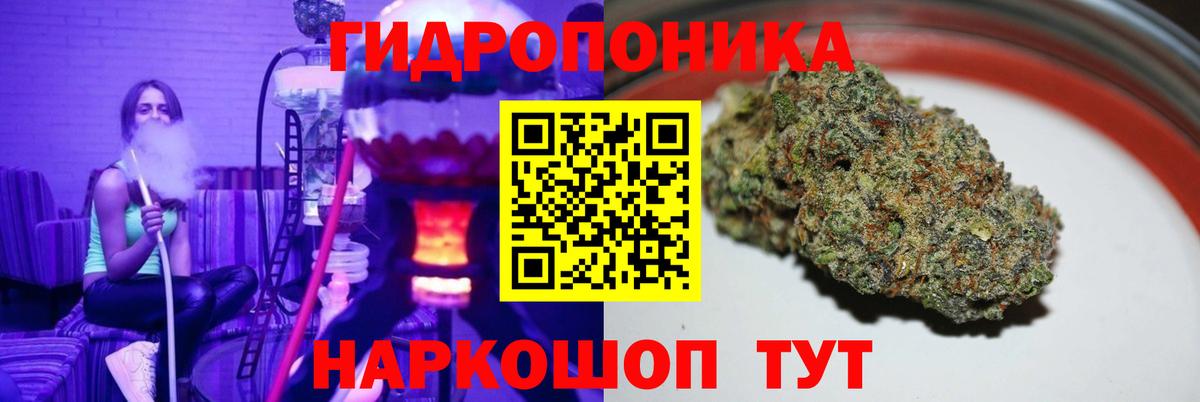 Конопля конопля Сокол